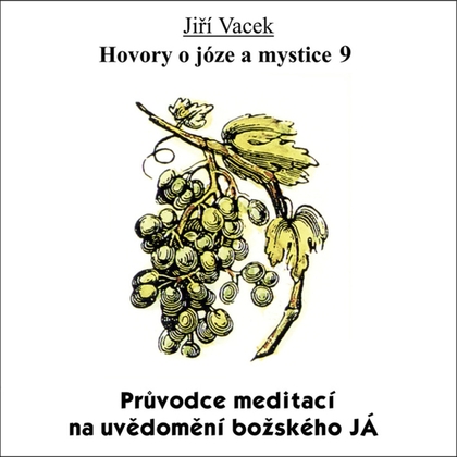 Audiokniha Hovory o józe a mystice č. 9 - Jiří Vacek, Jiří Vacek