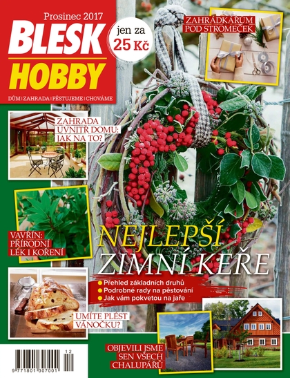 E-magazín Blesk Hobby - 12/2017 - CZECH NEWS CENTER a. s.