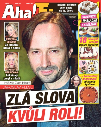 E-magazín AHA! Tv - 8.2.2024 - CZECH NEWS CENTER a. s.