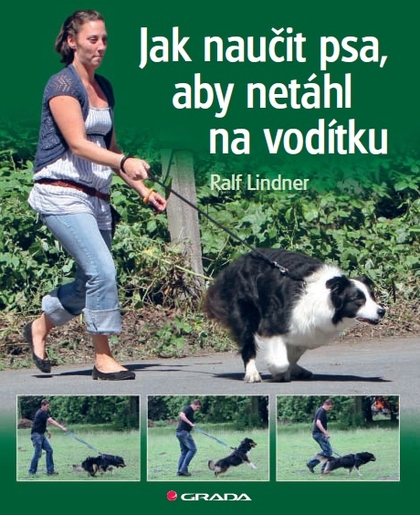 E-kniha Jak naučit psa, aby netáhl na vodítku - Ralf Lindner