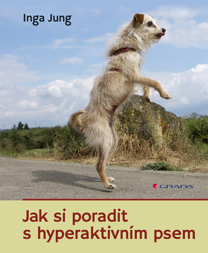 E-kniha Jak si poradit s hyperaktivním psem - Inga Jung