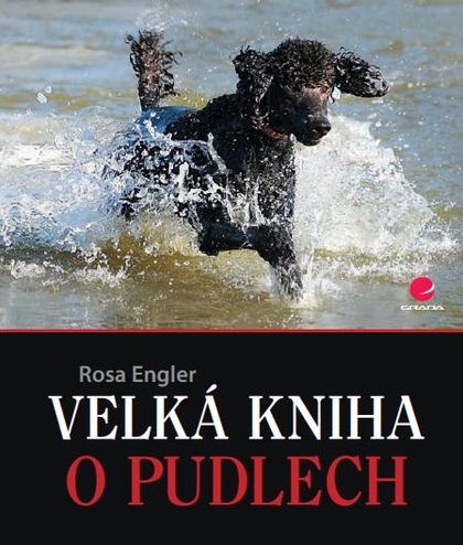 E-kniha Velká kniha o pudlech - Rosa Engler