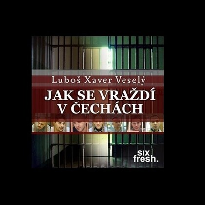 Audiokniha Jak se vraždí v Čechách - Lukáš Janota, Aleš Slanina, Milan Němec, Martin Havelka, Kristian Pekar, Zdeněk Bureš, Tomáš Sagher, Jakub Zedníček, Jiří Mach, Vojtěch Blahuta, Lukáš Kantor, Jan Brožek, Radek Novotný, Luboš Xaver Veselý