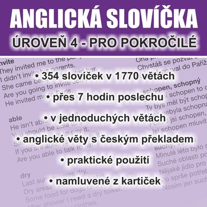 Audiokniha Anglická slovíčka - úroveň 4 pro pokročilé - Ludvík Richard, Ludvík Richard