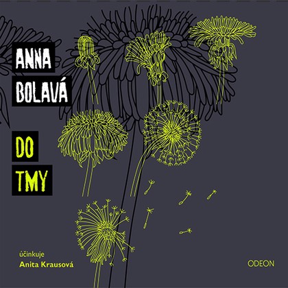 Audiokniha Do tmy - Anita Krausová, Bolavá Anna