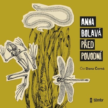 Audiokniha Před povodní - Dana Černá, Anna Bolavá