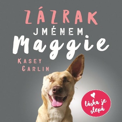 Audiokniha Zázrak jménem Maggie - Anna Julie Slováčková, Kasey Carlin