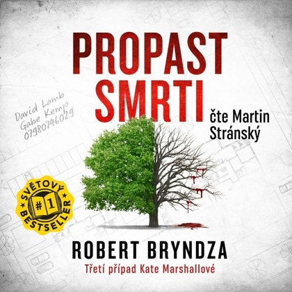 Audiokniha Propast smrti - Martin Stránský, Robert Bryndza