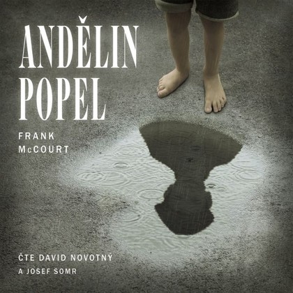 Audiokniha Andělin popel - David Novotný, Josef Somr, Frank McCourt