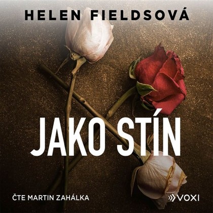 Audiokniha Jako stín - Martin Zahálka, Helen Fieldsová