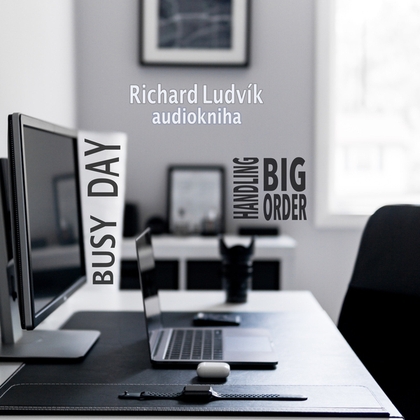 Audiokniha Busy Day - Handling Big Order - Ludvík Richard, Ludvík Richard
