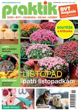 PRAKTIK & příloha Byt magazín 11/2024