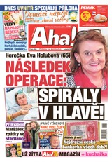 AHA! - 13.11.2024