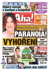 AHA! - 22.11.2024