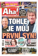 AHA! - 26.11.2024