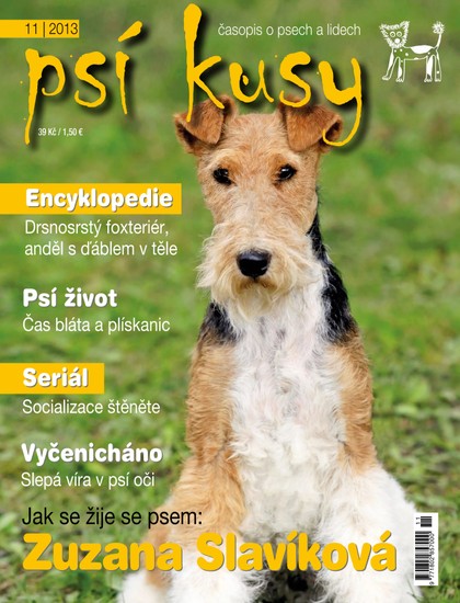 E-magazín Psí kusy 11/2013 - Časopisy pro volný čas s. r. o.