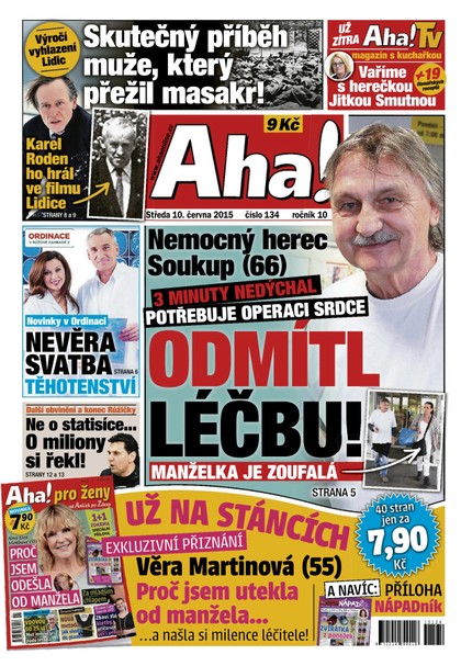 E-magazín AHA! - 10.6.2015 - CZECH NEWS CENTER a. s.