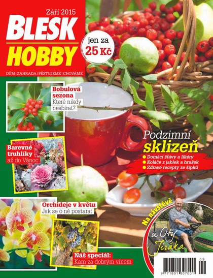 E-magazín Blesk Hobby - 09/2015 - CZECH NEWS CENTER a. s.