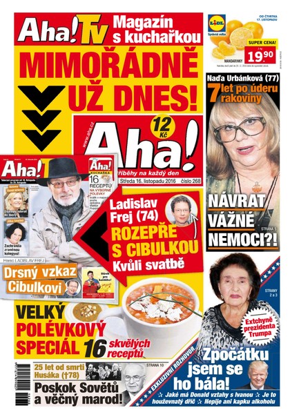 E-magazín AHA! - 16.11.2016 - CZECH NEWS CENTER a. s.