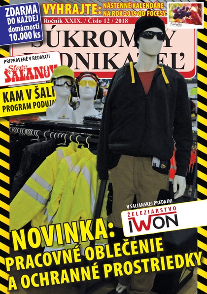 E-magazín Súkromný podnikateľ 12/2018 - Fantázia media, s. r. o.