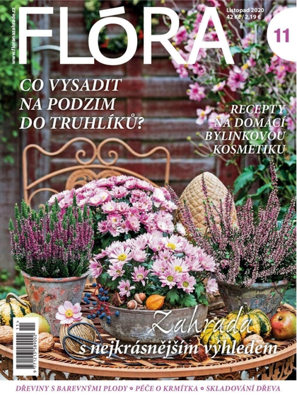 E-magazín Flora 11-2020 - Časopisy pro volný čas s. r. o.