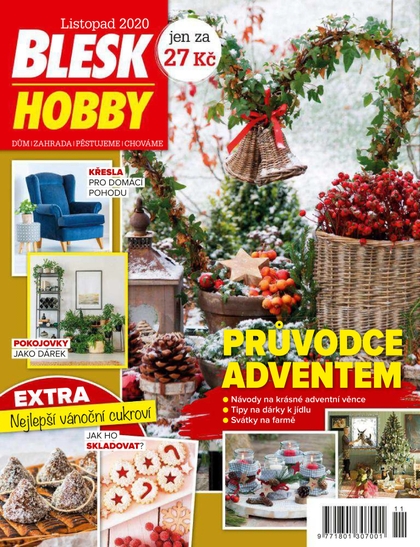 E-magazín Blesk Hobby - 11/2020 - CZECH NEWS CENTER a. s.