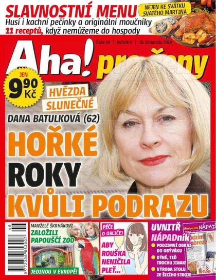 E-magazín AHA! pro ženy - 46/2020 - CZECH NEWS CENTER a. s.