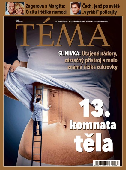 E-magazín TÉMA DNES - 13.11.2020 - MAFRA, a.s.