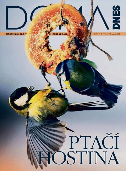 E-magazín DOMA DNES - 13.1.2021 - MAFRA, a.s.