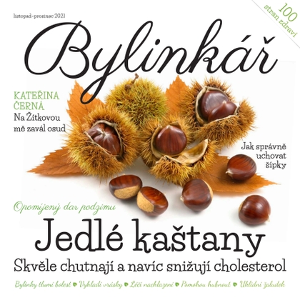 E-magazín Bylinkář 11-12/2021 - Extra Publishing, s. r. o.