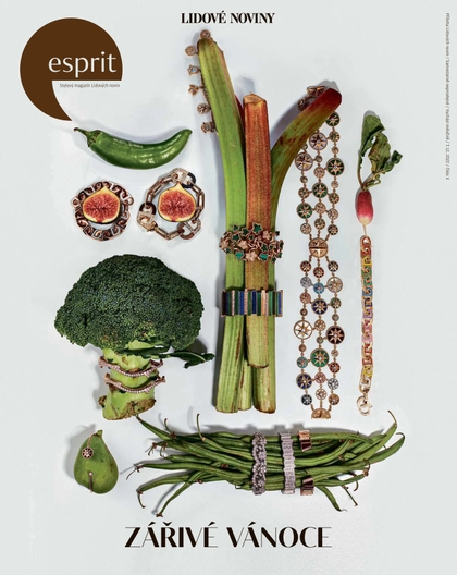 E-magazín ESPRIT LN - 7.12.2022 - MAFRA, a.s.