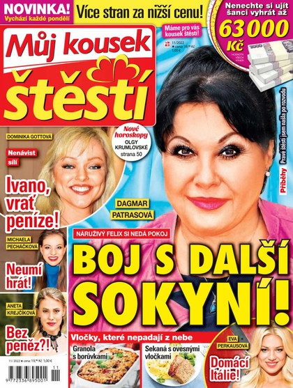 E-magazín Můj kousek štěstí 11/22 - RF Hobby