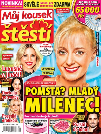 E-magazín Můj kousek štěstí 28/22 - RF Hobby