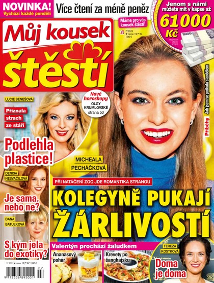 E-magazín Můj kousek štěstí 7/22 - RF Hobby