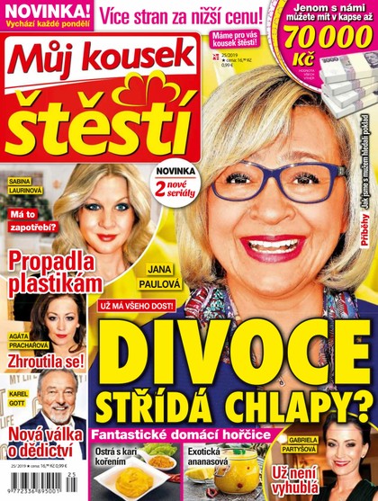 E-magazín Můj kousek štěstí 25/19 - RF Hobby