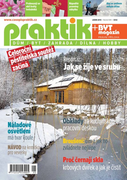 E-magazín PRAKTIK & příloha Byt magazín 1/2013 - Pražská vydavatelská společnost