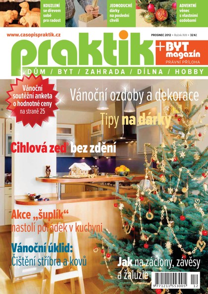 E-magazín PRAKTIK & příloha Byt magazín 12/2012 - Pražská vydavatelská společnost