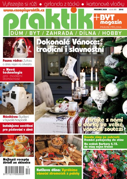 E-magazín PRAKTIK & příloha Byt magazín 12/2020 - Pražská vydavatelská společnost