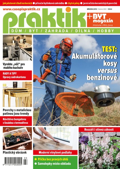 E-magazín PRAKTIK & příloha Byt magazín 3/2019 - Pražská vydavatelská společnost