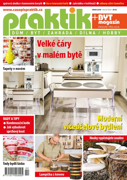 E-magazín PRAKTIK & příloha Byt magazín 2/2018 - Pražská vydavatelská společnost