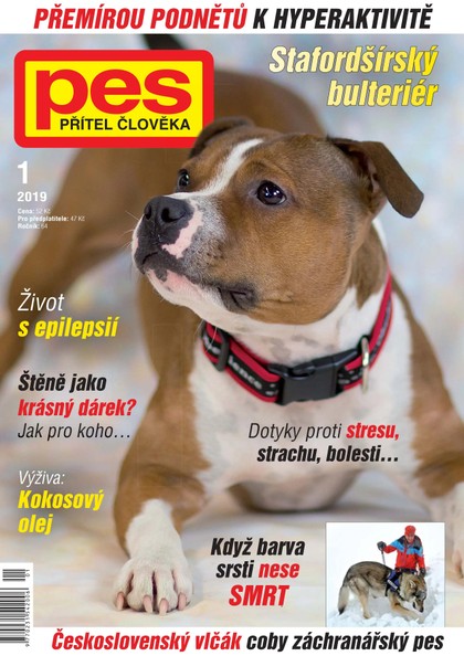 E-magazín Pes přítel člověka 1/2019 - Pražská vydavatelská společnost