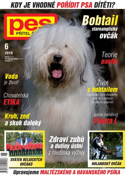 E-magazín Pes přítel člověka 6/2018 - Pražská vydavatelská společnost