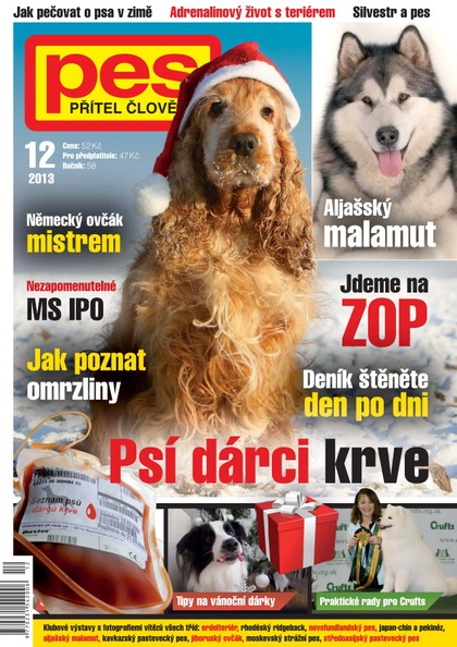 E-magazín Pes přítel člověka 12/2013 - Pražská vydavatelská společnost