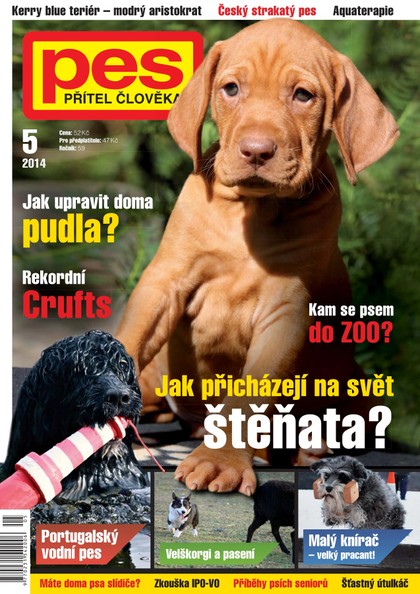 E-magazín Pes přítel člověka 5/2014 - Pražská vydavatelská společnost