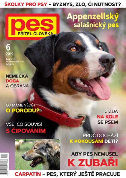 E-magazín Pes přítel člověka 6/2019 - Pražská vydavatelská společnost