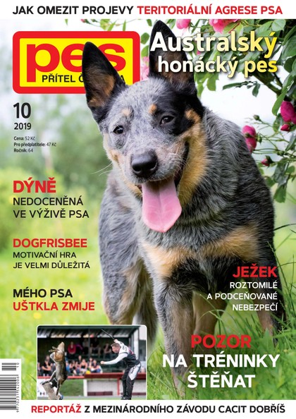 E-magazín Pes přítel člověka 10/2019 - Pražská vydavatelská společnost