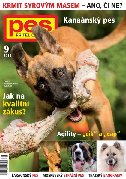 E-magazín Pes přítel člověka 9/2015 - Pražská vydavatelská společnost