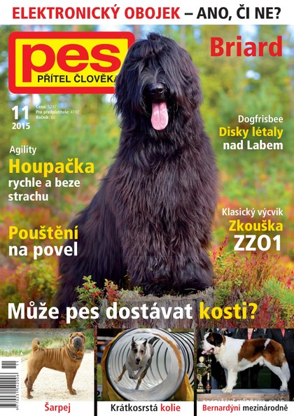 E-magazín Pes přítel člověka 11/2015 - Pražská vydavatelská společnost