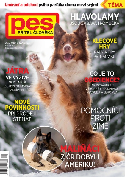 E-magazín Pes přítel člověka 3/2021 - Pražská vydavatelská společnost