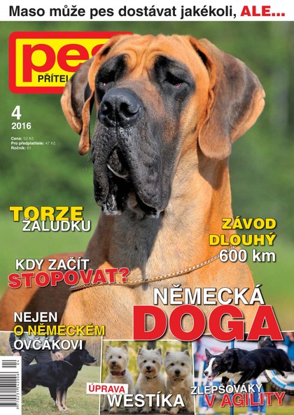 E-magazín Pes přítel člověka 4/2016 - Pražská vydavatelská společnost